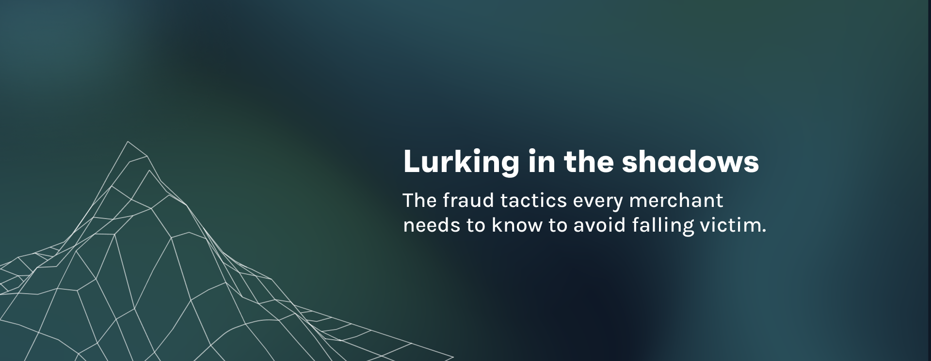 Lurking in the shadows - The fraud tactics every merchant needs to know to avoid falling victim.
